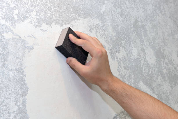 Best Asbestos and Lead Testing During Mold Inspection  in Shirley, NY