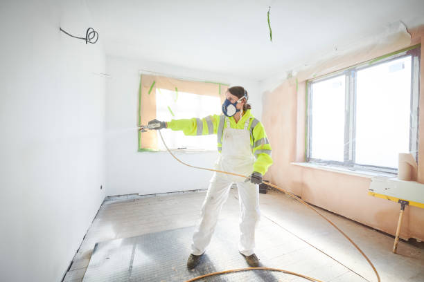 Best Water Damage & Mold Remediation  in Shirley, NY