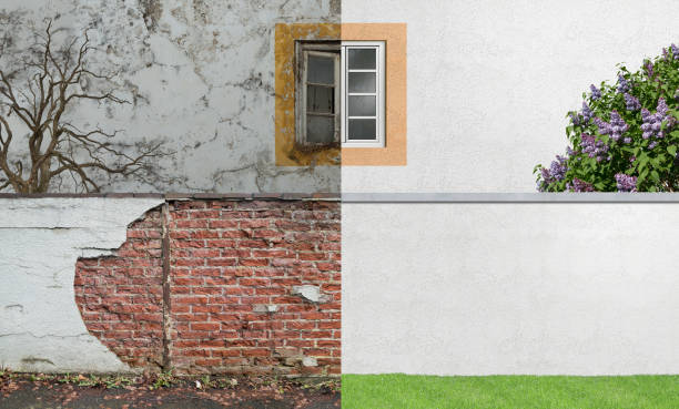 Best Real Estate Mold Inspection  in Shirley, NY