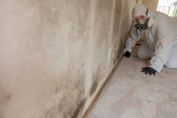 Best Post-Remediation Verification Testing  in Shirley, NY