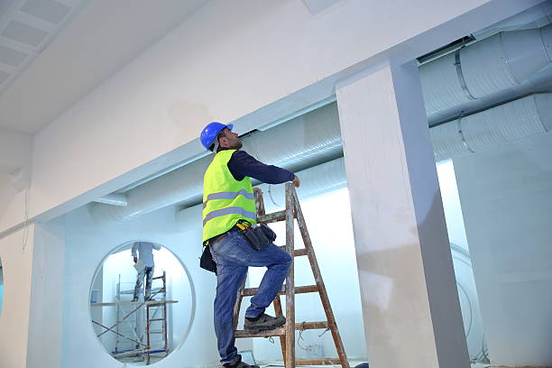 Best Attic Mold Removal  in Shirley, NY